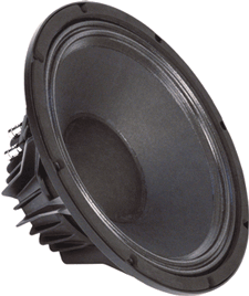 Faital Pro W12N8-200 12" Speaker