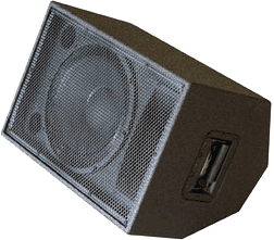 P.Audio SL112M 2-way stage monitor speaker