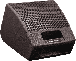 Radian RMW-1108 stage monitor