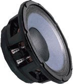 EV Speakers - EV DL10X