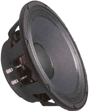 EV Speakers - EV DL15X
