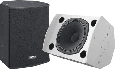 tannoy 12 dual concentric speakers
