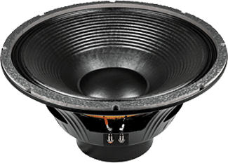 p audio 21 inch speaker